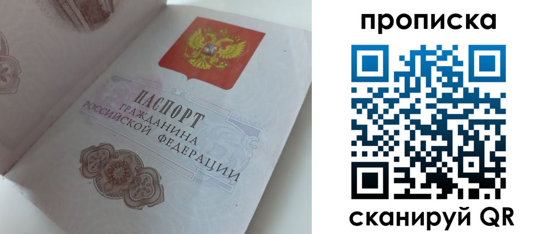пропишу в квартире в Благовещенске