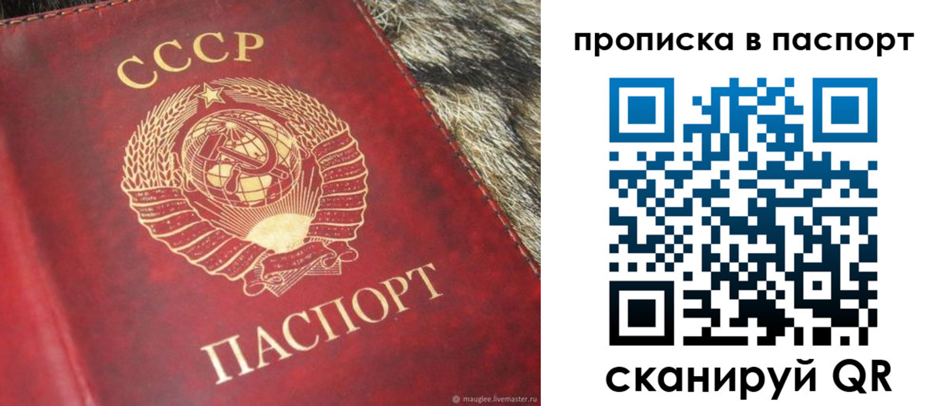 временная регистрация для всех в Благовещенске